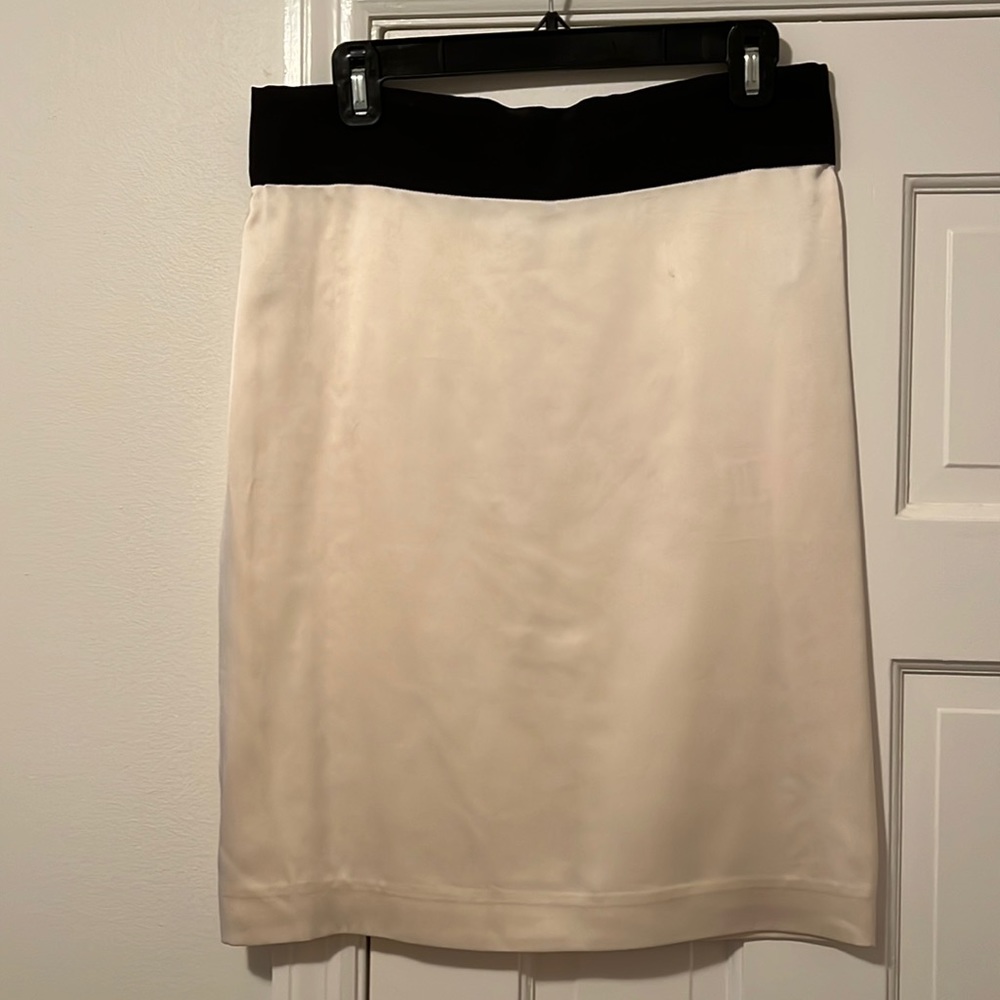 Brian Reyes silk skirt, size 10